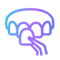Laoreet Dolore